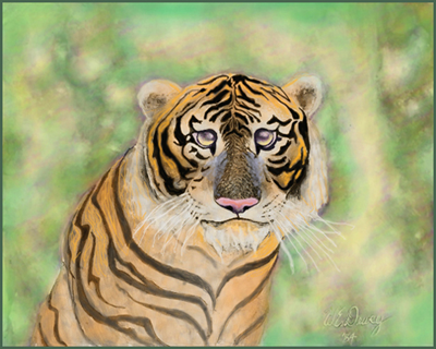 tiger