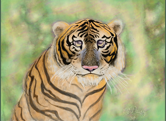 tiger